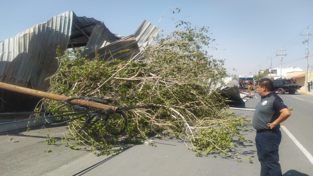 Atienden autoridades de Delicias caída de láminas y árboles por fuertes viento