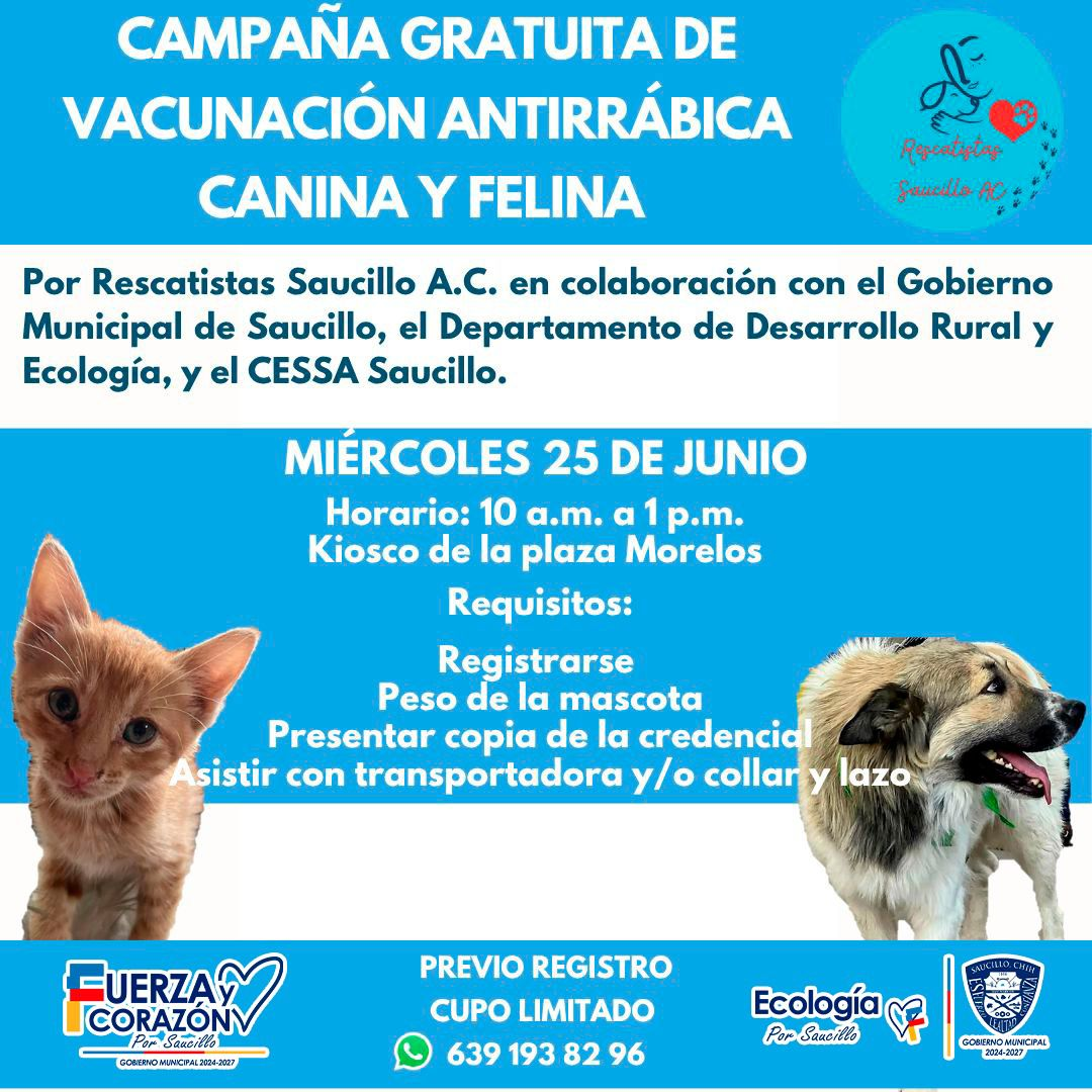 Fito Gardea anuncia Campaña Gratuita de Vacunación Antirrábica Canina y Felina en Saucillo