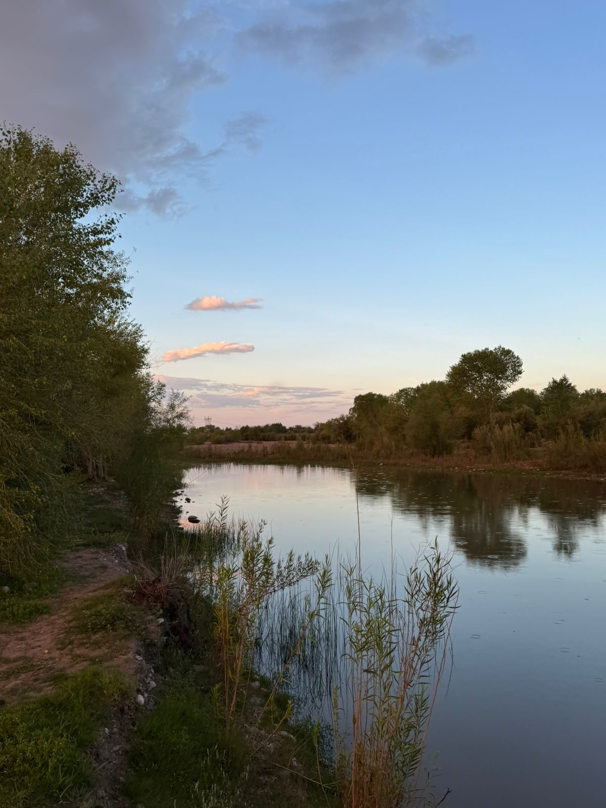 Rosales solicita apoyo urgente a CONAGUA ante vulnerabilidad en cuenca del río San Pedro