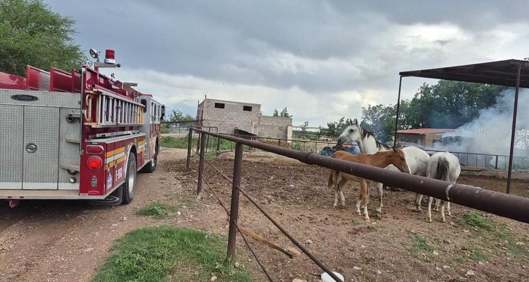 INTERVIENE BOMBEROS Y P.C DE ROSALES EN INCENDIO DE PACAS EN GRANJA.