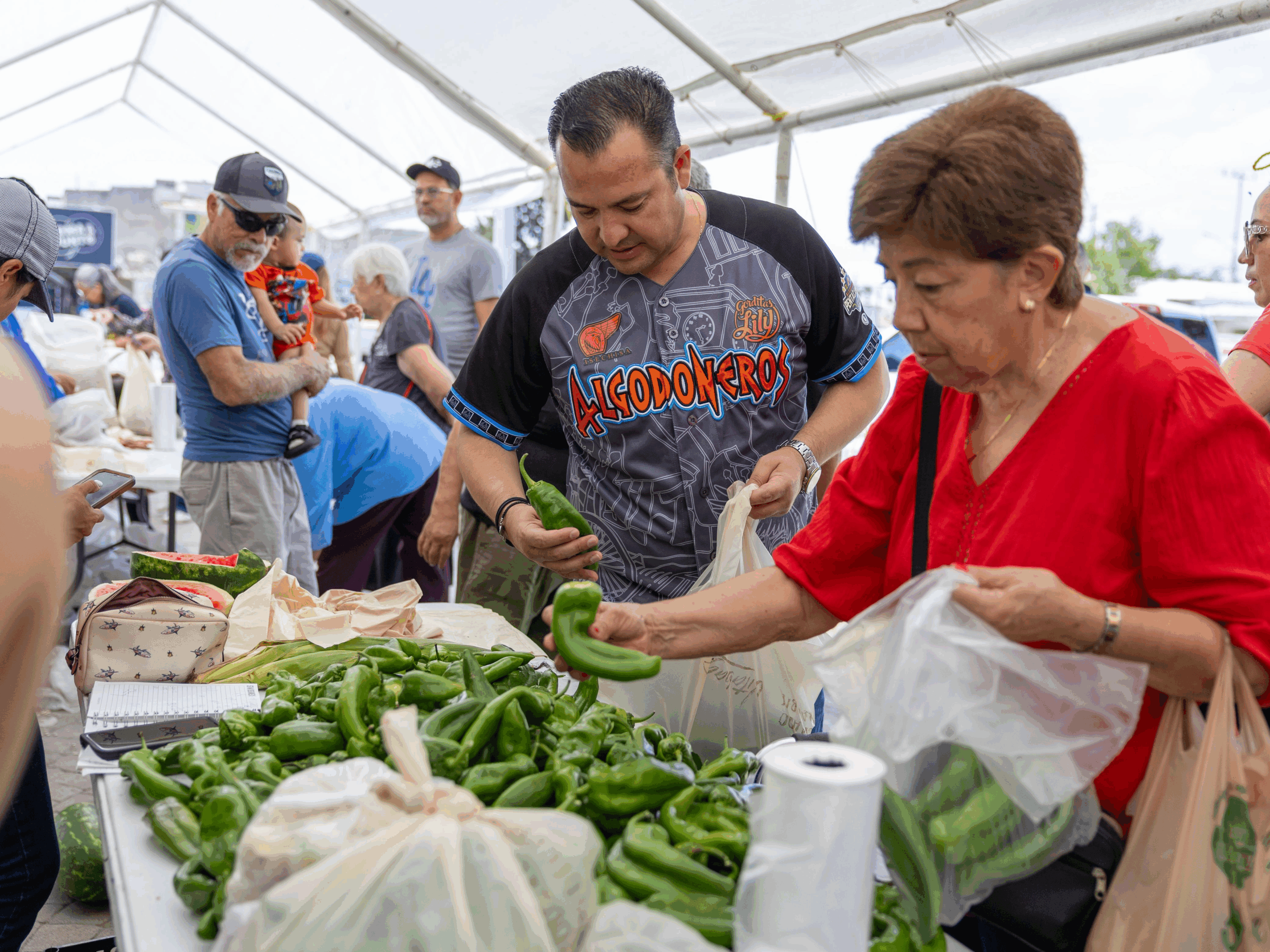 Reactiva gobierno de Delicias la economía del campo con venta sin intermediarios