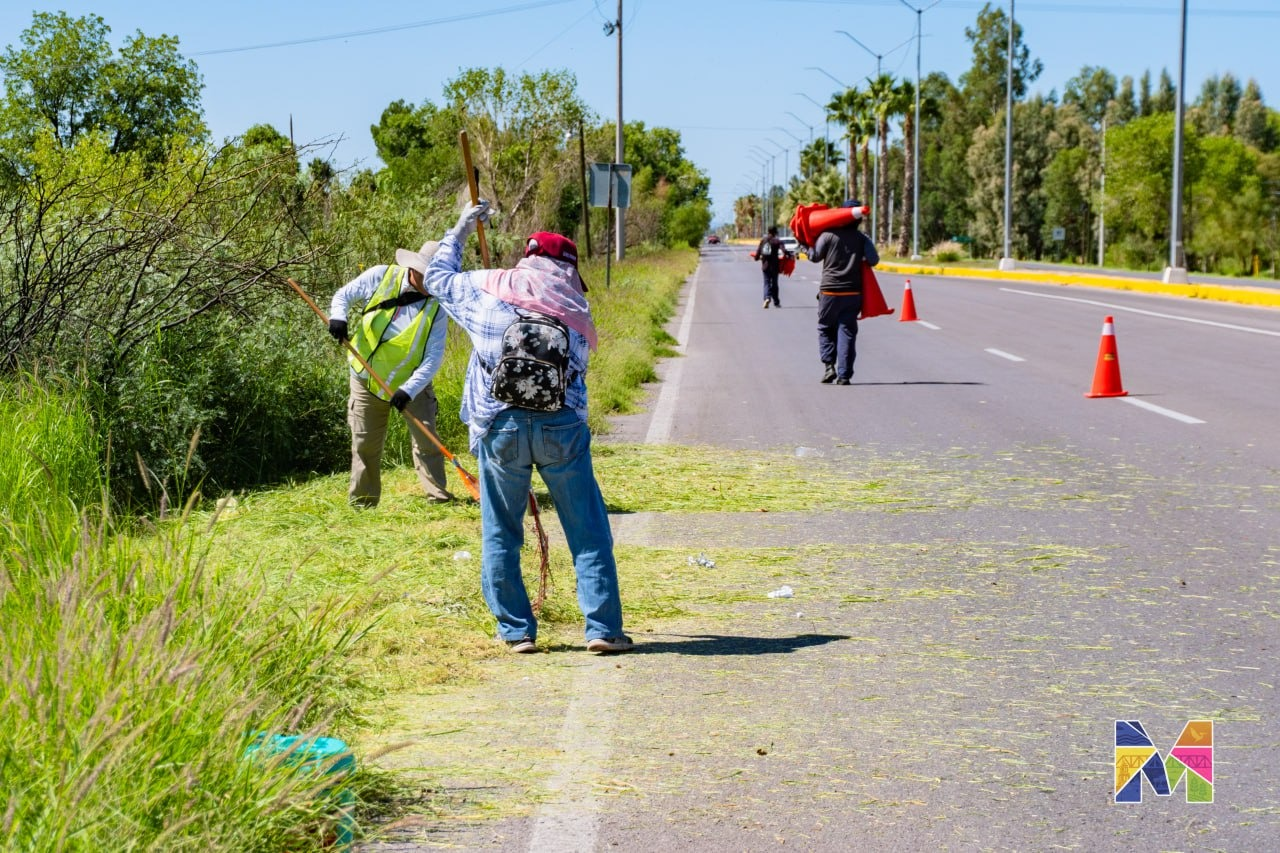 Atienden en Meoqui limpieza de Acceso Sur, Parques y Jardines en cabecera municipal y Seccionales