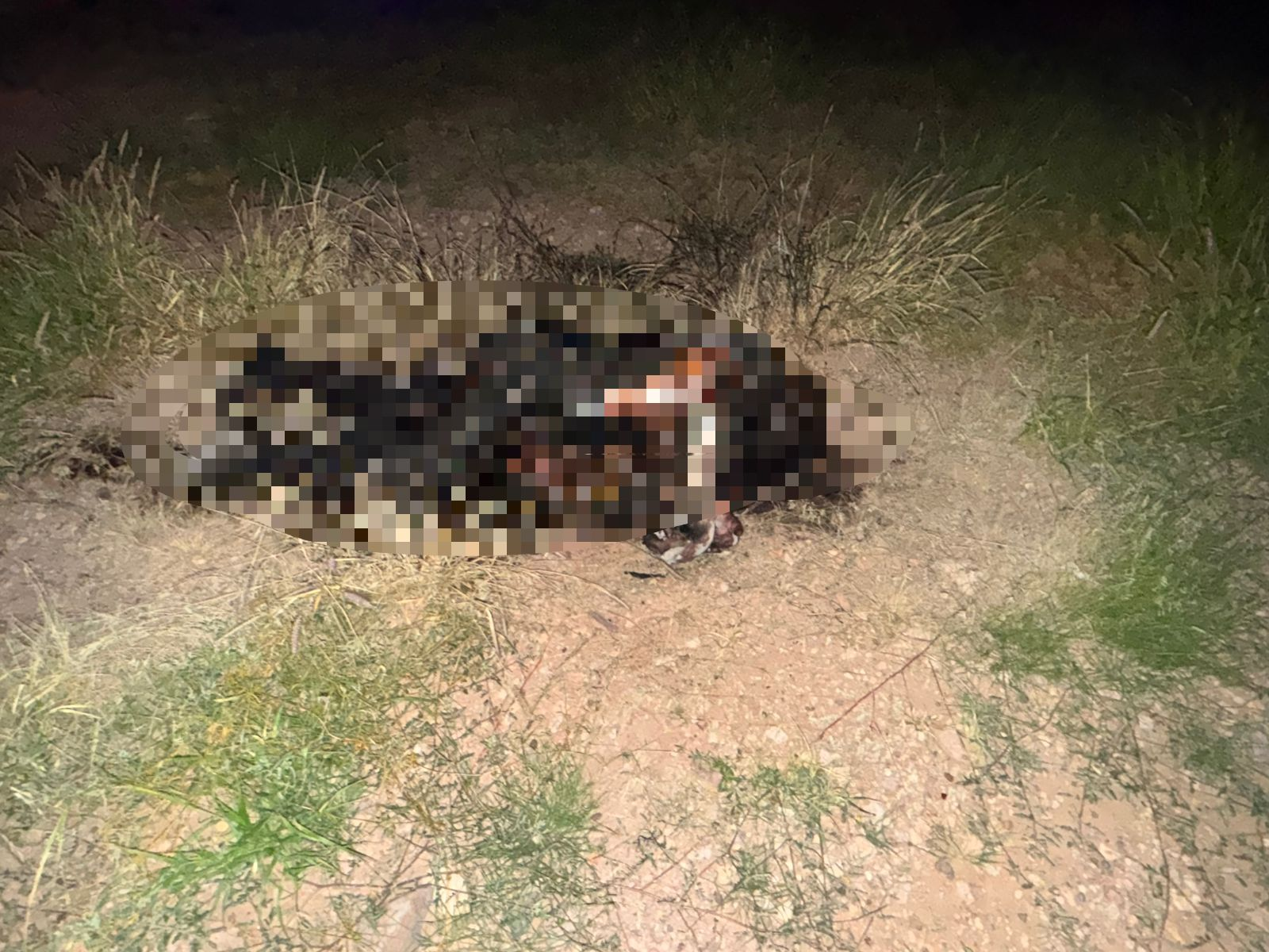 LOCALIZAN A HOMBRE SIN VIDA EN CAMINO A SAN DIEGO DE ALCALÁ.