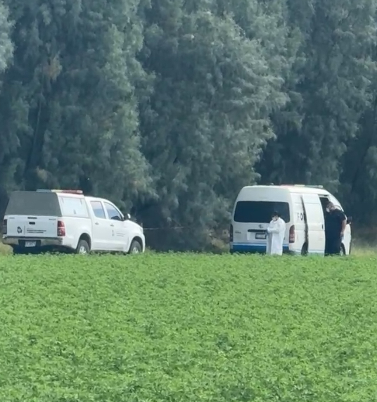 Mujer se suicida en arbol en la colonia Cuauhtémoc