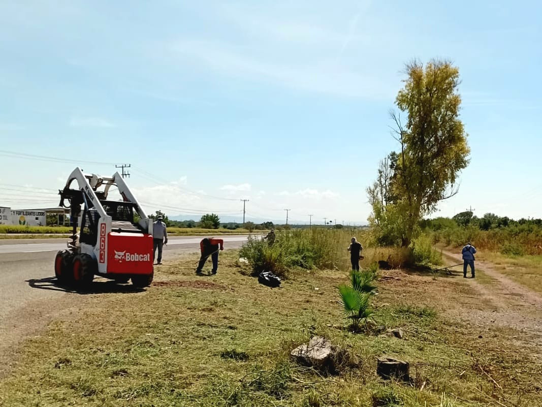 Reforestan San Lucas y La Chávez en Meoqui con 190 huizaches y fresnos