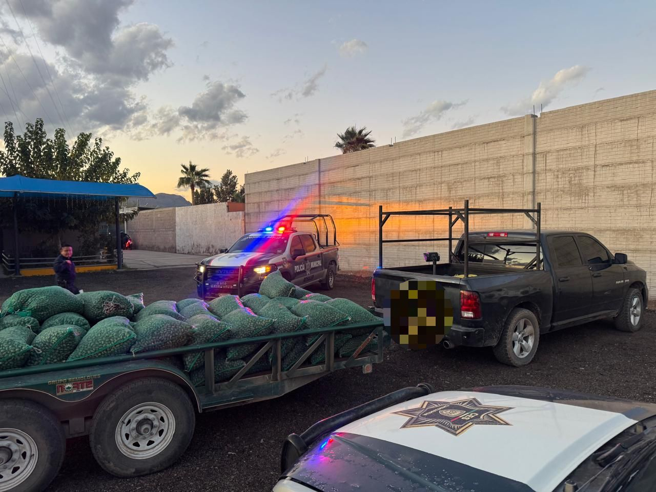 ASEGURA DSPM ROSALES MÁS DE DOS TONELADAS DE NUEZ SIN DOCUMENTACIÓN EN OPERATIVO DE COSECHA DE ALTO VALOR 2025.