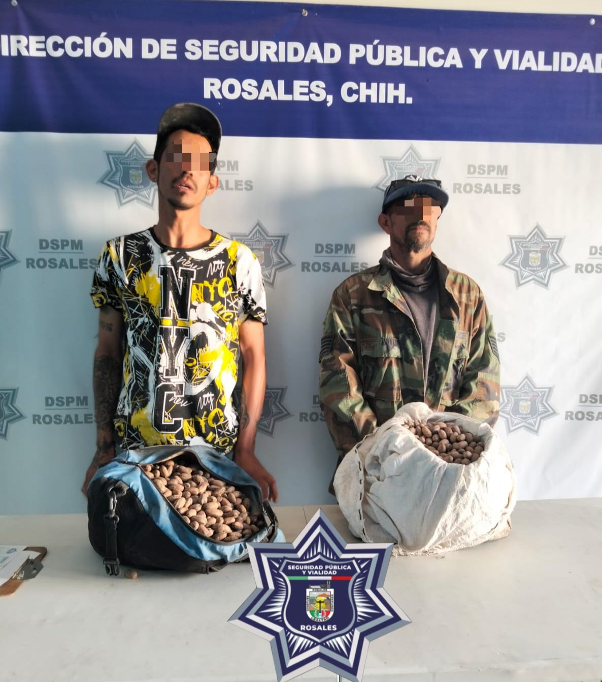 DOS DETENIDOS Y ASEGURAMIENTO DE NUEZ DURANTE OPERATIVO DE COSECHA DE ALTO VALOR EN ROSALES.