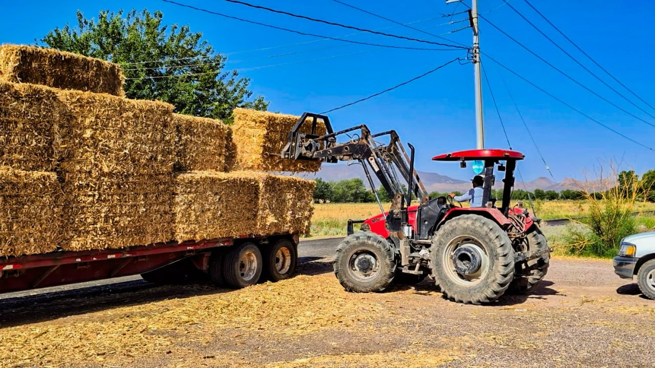 Invitan en Meoqui a productores a registrarse en programa de pacas de rastrojo subsidiadas