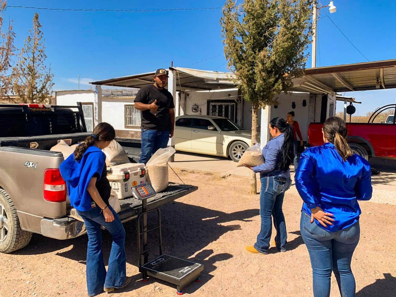 Ofrece Gobierno Municipal de Meoqui Frijol Subsidiado a 17 pesos el kilo