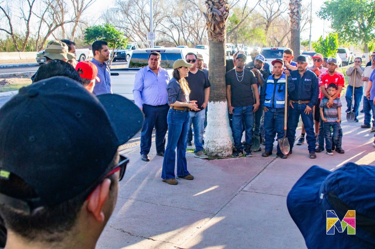 Realizan Gobierno de Meoqui y JMAS reforestación con 90 árboles en el bulevar Eduardo Nájera